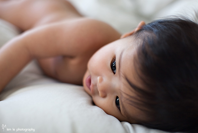 baby photography by kim le photography