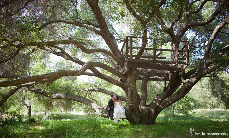 los angeles wedding photography by kim le photography