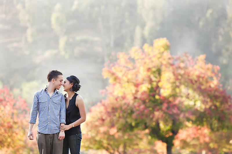 los angeles griffith park engagement by kim le photography