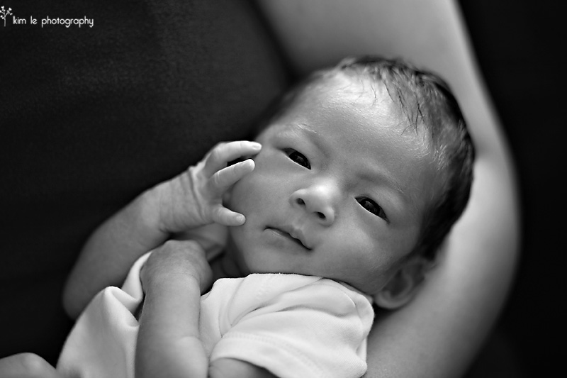 baby photography by kim le photography